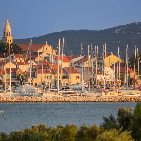 Grapevines Biograd Na Moru