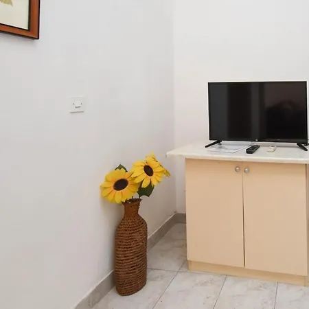 Grapevines Biograd Na Moru