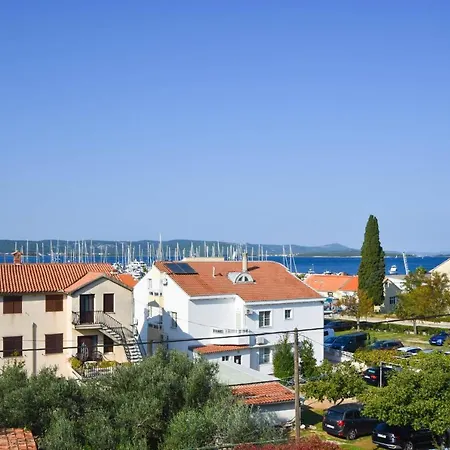 Grapevines * Biograd Na Moru