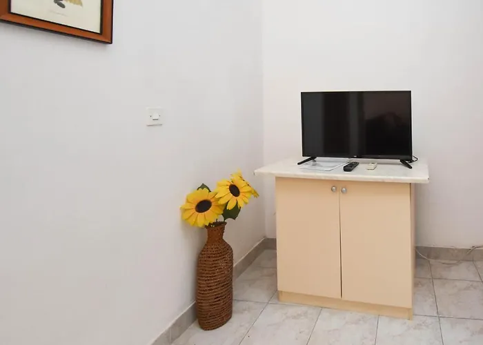 Grapevines Биоград-на-Мору